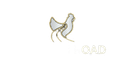Chicken Road